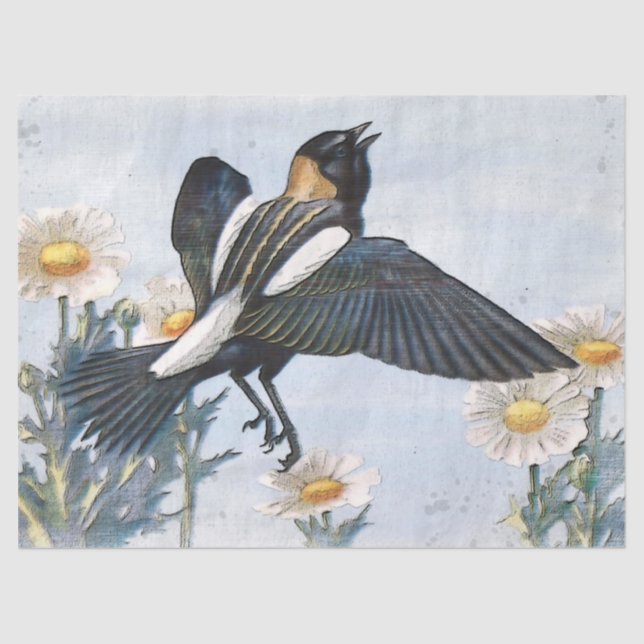Papel Tecido de Decoupage de Pássaros Bobolink (Frente )