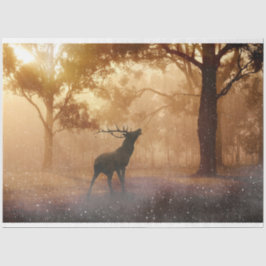 Papel Tecido de Decoupage de Vencedores Florestais