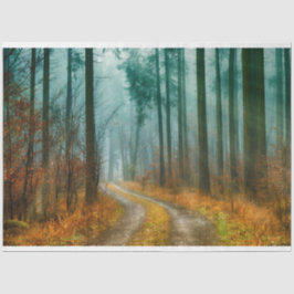 Papel Tecido de Decoupage do Caminho da Floresta o