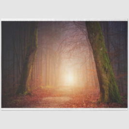 Papel Tecido de Decoupage do Forest Light 17