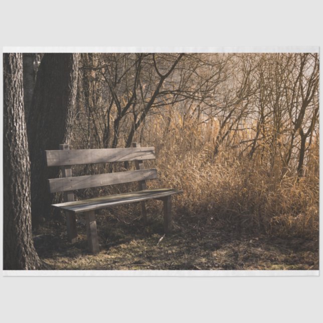 Papel Tecido de Decoupage do Forest Park (Frente )