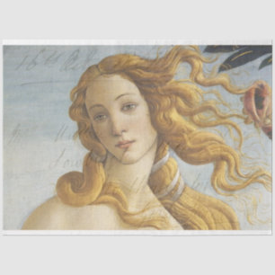 Papel Tecido de Decoupage do Mobiliário Vênus