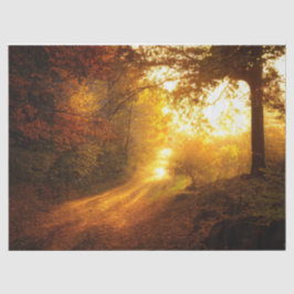 Papel Tecido de Decoupage do outono de Floresta 11