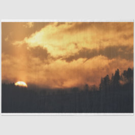 Papel Tecido de Decoupage do Sunset da Floresta