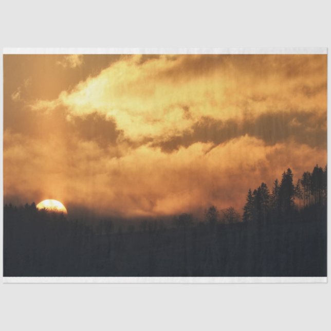 Papel Tecido de Decoupage do Sunset da Floresta (Frente )