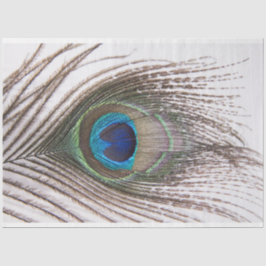 Papel Tecido de Descolagem da Pavão 3