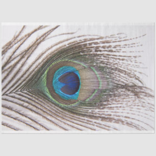 Papel Tecido de Descolagem da Pavão 3