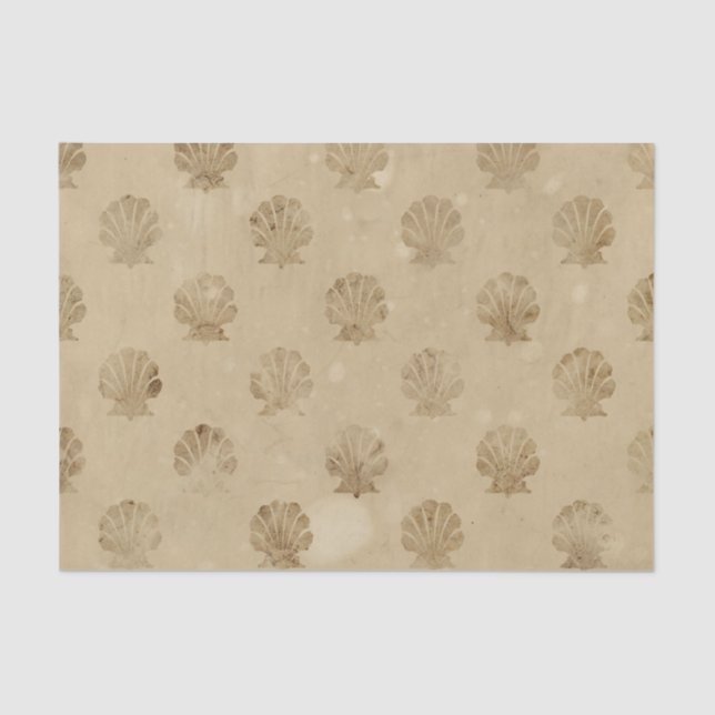 Papel Tecido de Desentupimento de Conchas do Mar d (Frente )