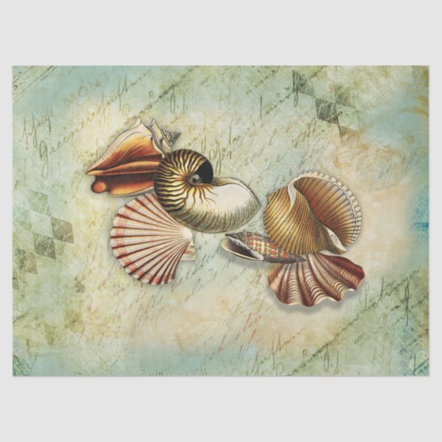 Papel Tecido de Desentupimento do Vintage Seasheld (Frente )