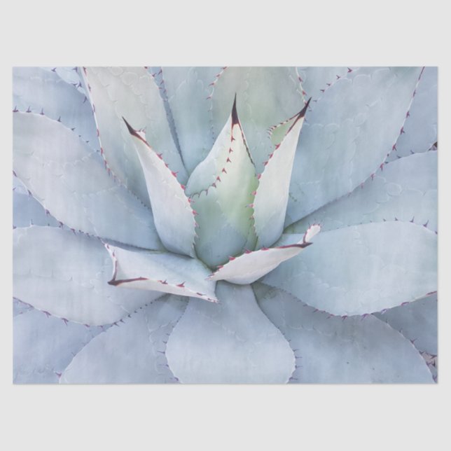 Papel Tecido Desert Cactus Close-up Decoupage (Frente )