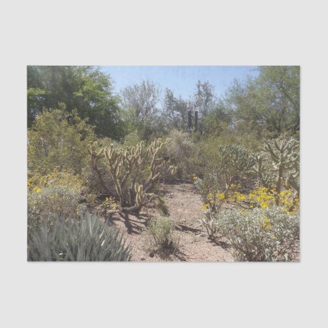 Papel Tecido Deserto (Frente )