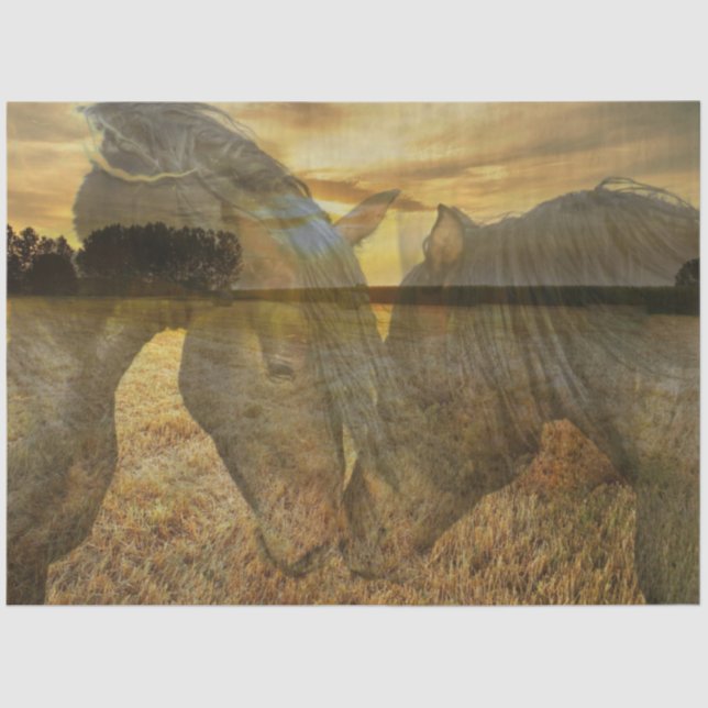 Papel Tecido dos Cavalos (Frente )