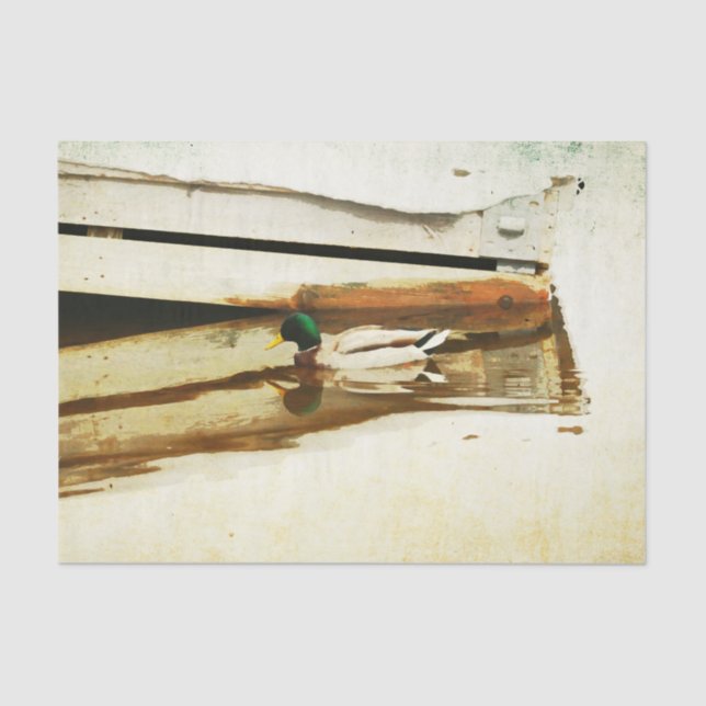 Papel Tecido Duso (Frente )