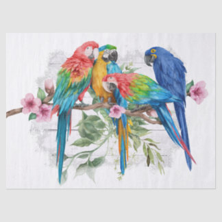 Papel Tecido Macaw, Eucalyptus Watercolor