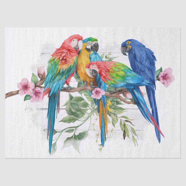 Papel Tecido Macaw, Eucalyptus Watercolor (Frente )