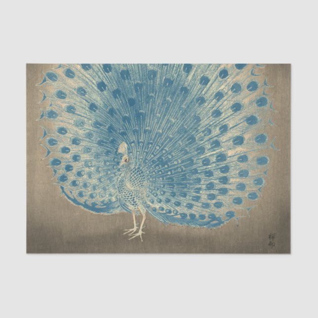 Papel Tecido PEACOCK JAPONÊS (Frente )