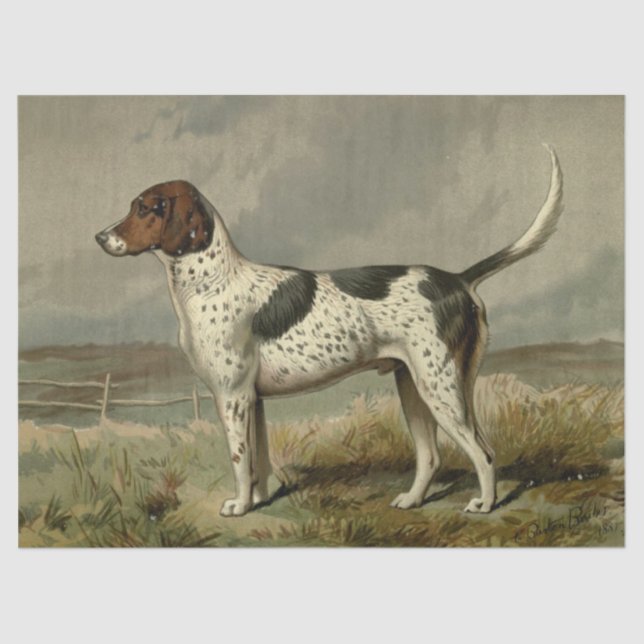 Papel Tecido Vintage Foxhound (Frente )
