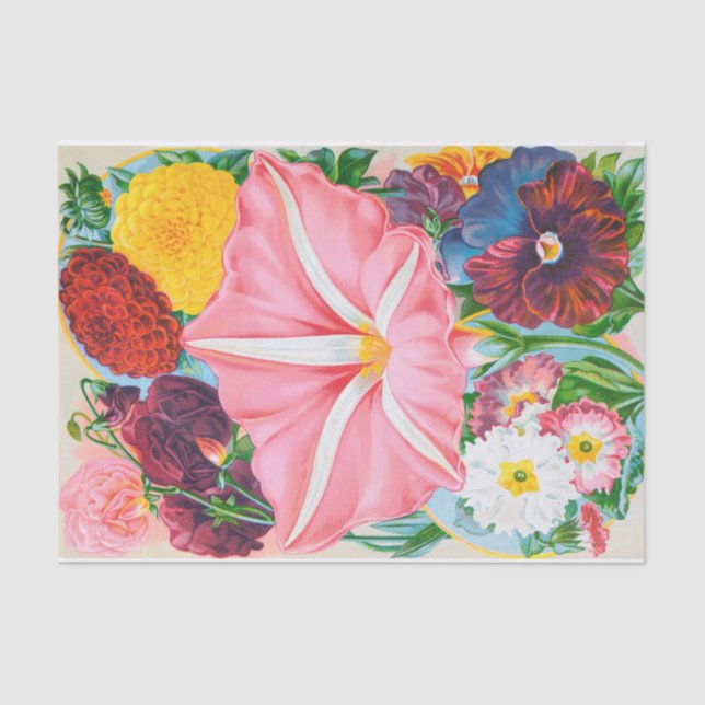 Papel Tecido Vintage Pink Petunia Garden Flowers (Frente )