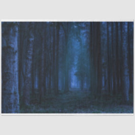 Papel Tecidual de Descaptação de Floresta da Meia-