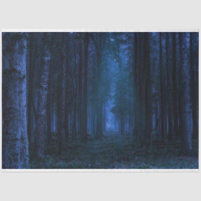 Papel Tecidual de Descaptação de Floresta da Meia- (Frente )