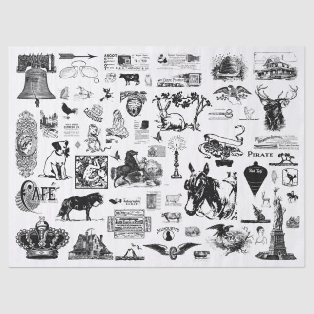 Papel Tecidual de Desvinculação de Colagem de Vint (Frente )