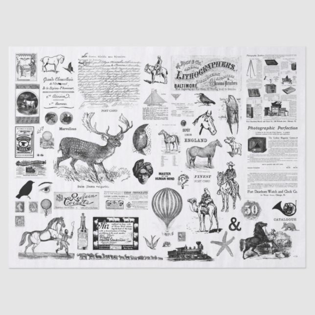 Papel Tecidual de Desvinculação de Colagem de Vint (Frente )