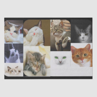 Papel Tecidual dos Amantes de Gato