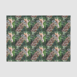 Papel Tecidual Giraffe