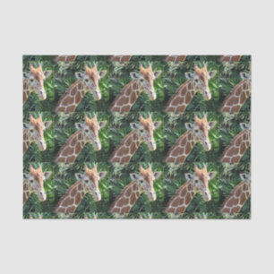 Papel Tecidual Giraffe