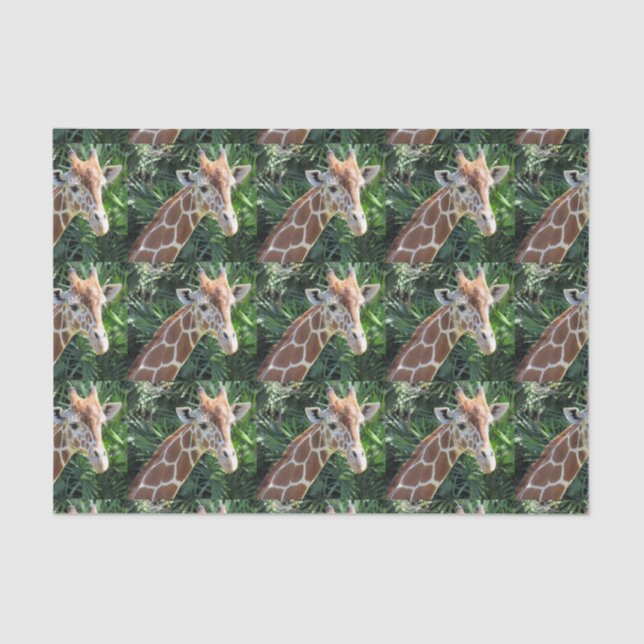 Papel Tecidual Giraffe (Frente )