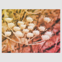 Papel Tecidual + Papel Decoupage - Primeiro Congel