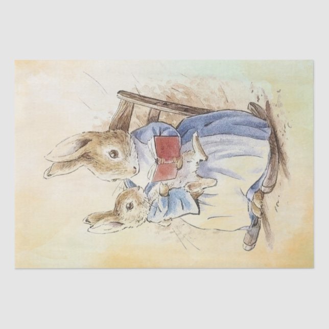 Papel Tecidual Peter Rabbit (Frente )