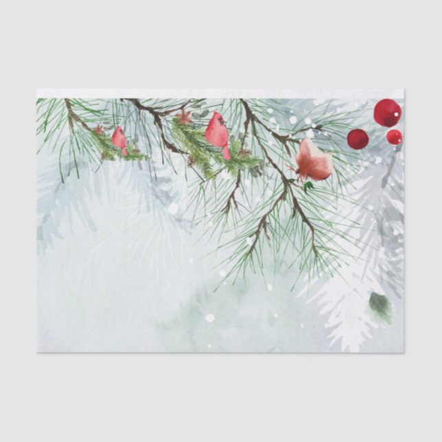 Papel tecidular (Frente )