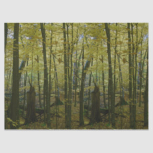 Papel tecidular das árvores verdes e negras