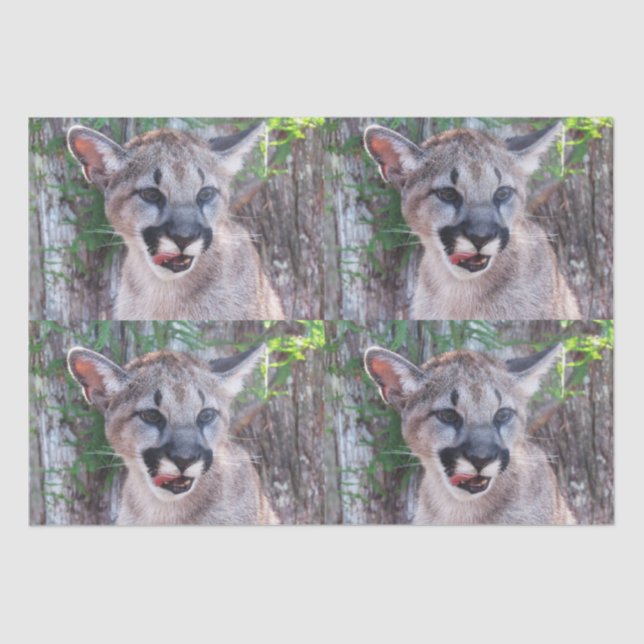 Papel tecidular/papel de dissociação do cubo do ch (Frente )