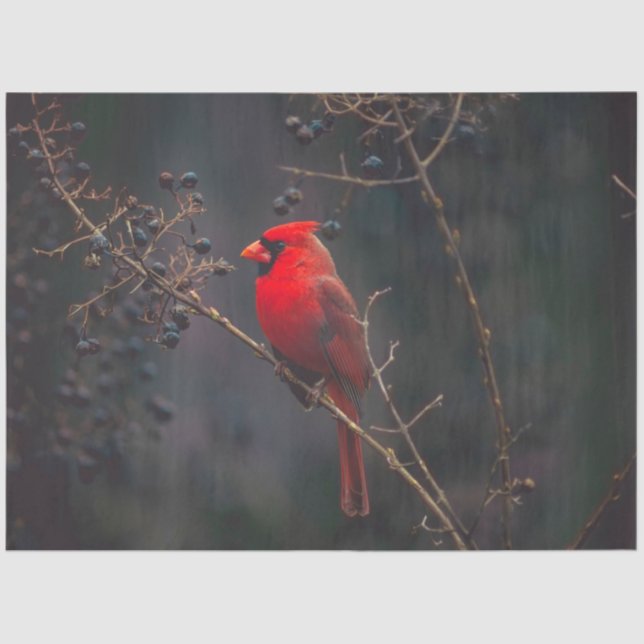 Papel Teclado Cardeal (Frente )