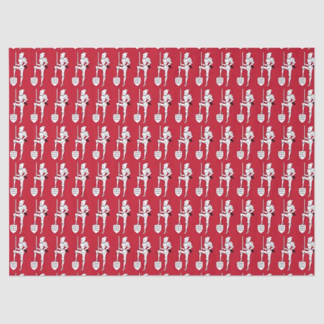 PAPEL TECNOLÓGICO "Fato de Armor DIVA" (Frente )