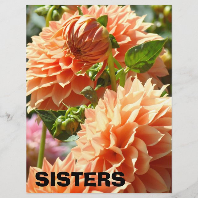 Papel Tema Dahlia Flores SISTERS Scapebook (Frente)
