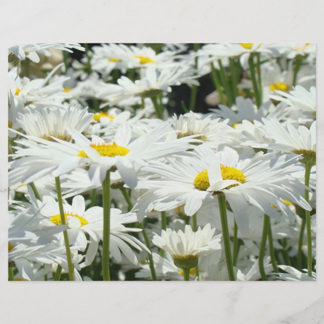 Papel temático para scrapbook de flores de margari (Frente)
