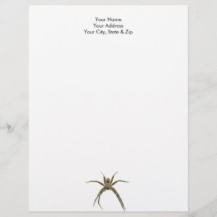 Papel Timbrado Aranha