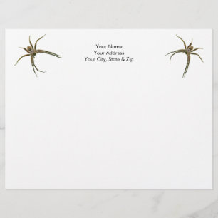 Papel Timbrado Aranha