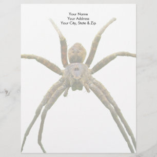 Papel Timbrado Aranha