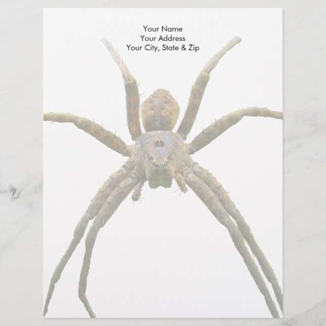 Papel Timbrado Aranha (Frente)