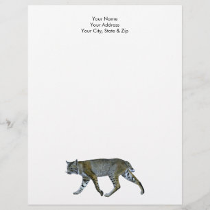 Papel Timbrado Bobcat