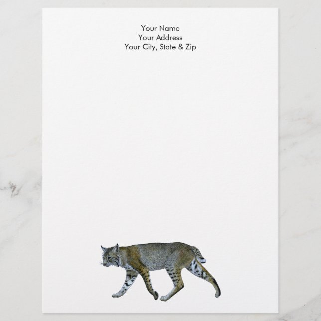 Papel Timbrado Bobcat (Frente)