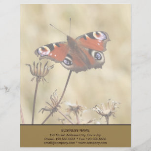 Papel Timbrado Borboleta de Peacock