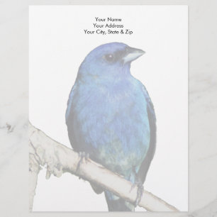 Papel Timbrado Bunting Indigo