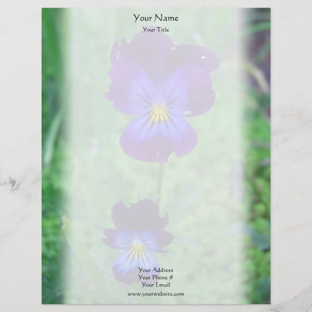Papel Timbrado Cabeçalho ainda vivo dos Pansies (Frente)