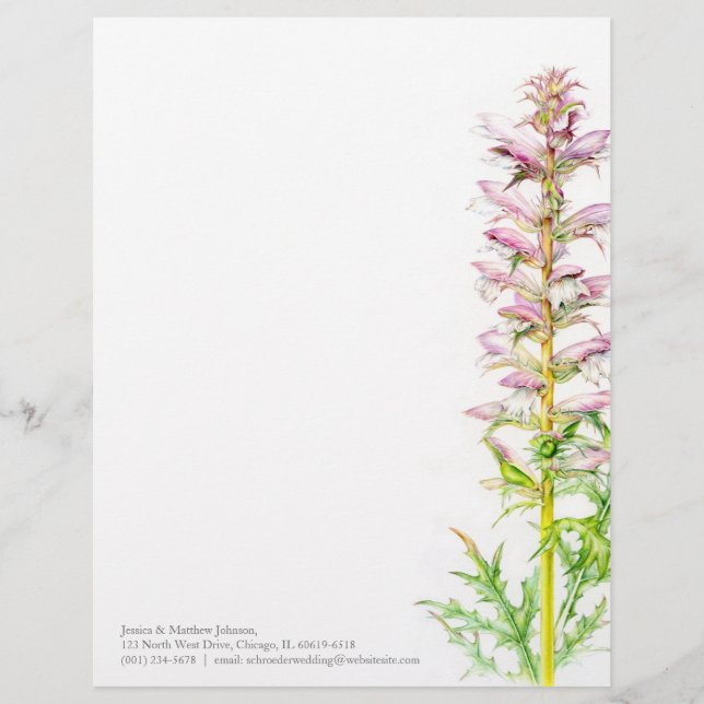 Papel Timbrado Cabeçalho da arte da aguarela do verde do rosa da (Frente)