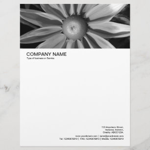 Papel Timbrado Cabeçalho de Imagem Grande - Rudbecia a Preto e B